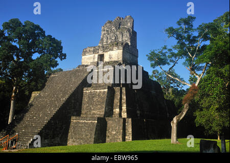 Pyramide à la place principale de la ville maya Tikal, Guatemala, Tikal Banque D'Images