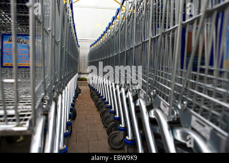 Rangées de chariots de supermarché Banque D'Images