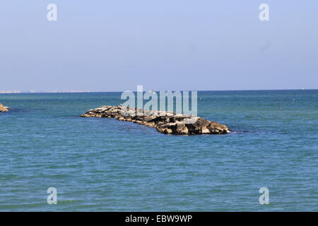 Rochers sur la mer Adriatique en Italie Banque D'Images