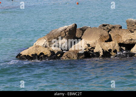 Rochers sur la mer Adriatique en Italie Banque D'Images