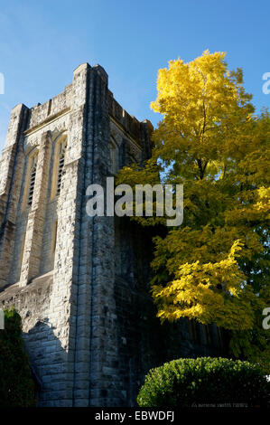 Ryerson United Church (Pacific Spirit United Church) et arbre d'automne à feuilles dorées, Kerrisdale, Vancouver, C.-B., Canada Banque D'Images