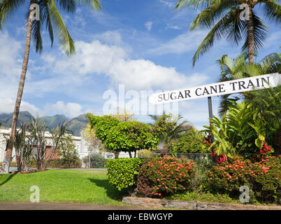 La canne à sucre de Lahaina, Maui, Hawaii signe Banque D'Images