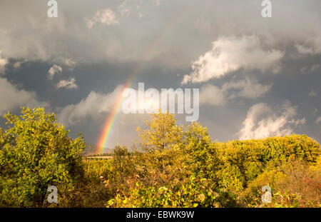 Bel arc-en-ciel au-dessus des arbres. Banque D'Images