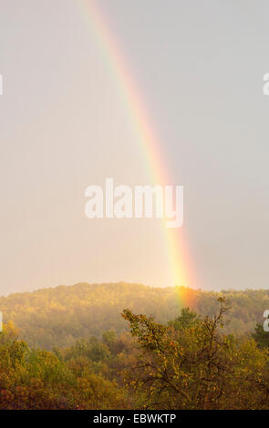 Bel arc-en-ciel au-dessus des arbres. Banque D'Images