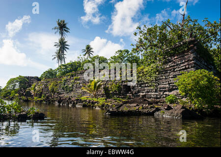 Ruines de la ville antique Nan Madol, Pohnpei, Caroline, Micronésie, Centre du Pacifique Banque D'Images