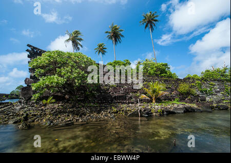 Ruines de la ville antique Nan Madol, Pohnpei, Caroline, Micronésie, Centre du Pacifique Banque D'Images