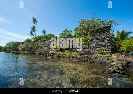 Ruines de la ville antique Nan Madol, Pohnpei, Caroline, Micronésie, Centre du Pacifique Banque D'Images