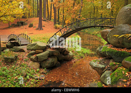 Deux bridge en anglais jardin chinois, l'Allemagne, la Saxe-Anhalt, Oranienbaum Banque D'Images