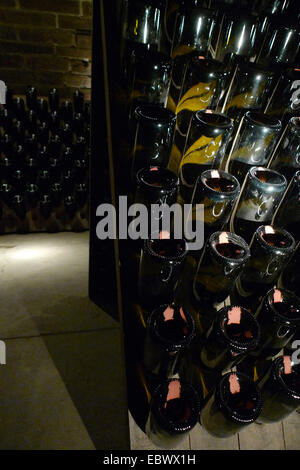 Le local de stockage des bouteilles de champagne dans la cave, l'Allemagne, Rhénanie-Palatinat Banque D'Images