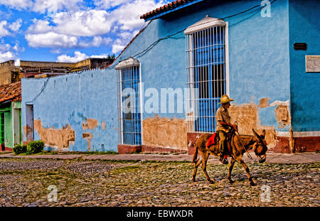 Vieil homme avec son âne pour les rues du vieux village, Cuba, Trinidad Banque D'Images