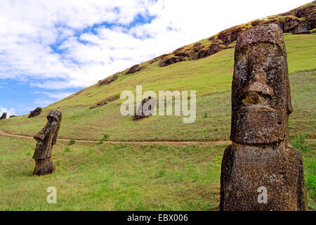 Rano Raraku Statues Île de Pâques, Chili, île de Pâques Banque D'Images