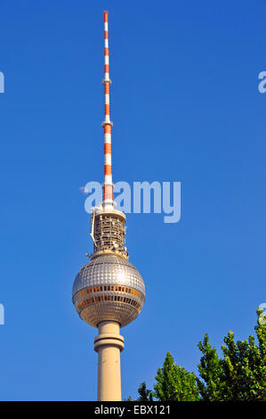 Tour de télévision près de l'Alexanderplatz, Berlin, Allemagne Banque D'Images