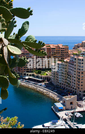 Voir à Monaco avec l'Opuntia dans l'avant-plan, France, Monaco Banque D'Images