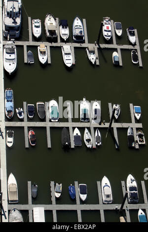 Vue depuis la tour du Rhin port des médias à Duesseldorf, Allemagne, Nordrhein-Westfahlen, Duesseldorf Banque D'Images