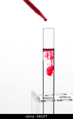 Tube à essai unique liquide incolore debout dans un test tube rack, un liquide rouge est dans un dribblé pipetter Banque D'Images