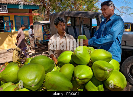 Coconut-stand sur un marché, l'Inde, les îles d'Andaman Banque D'Images