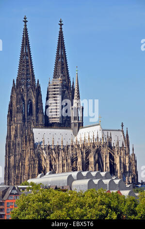 Cologne Kathedral avec Ludwig Museum, Allemagne, Berlin, Cologne Banque D'Images