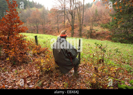 Hunter (shooter) assis et d'attendre avec le fusil en main lors d'une battue, Allemagne Banque D'Images