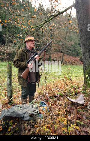 Hunter (shooter) en attente avec le fusil en main lors d'une battue, Allemagne Banque D'Images