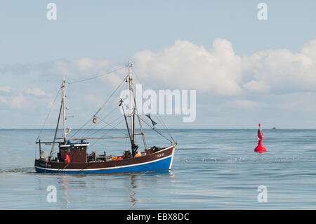 Coupe de crevettes de pêche dans la mer du Nord, Allemagne, Schleswig-Holstein Banque D'Images