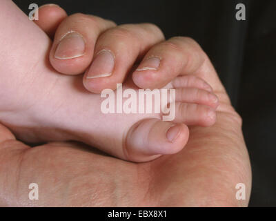 Main adultes est titulaire d'un baby foot