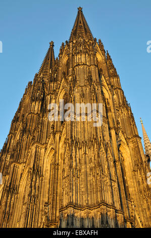 Bardage de l'ouest de la cathédrale de Cologne, en Allemagne, en Rhénanie du Nord-Westphalie, Koeln Banque D'Images