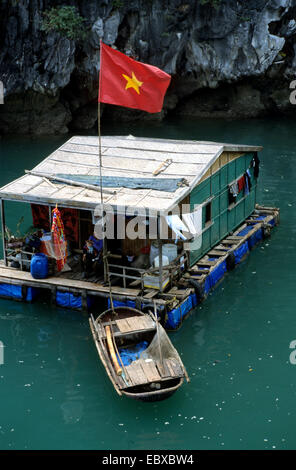 Péniche plusieur bateaux dans la baie d'Halong, Vietnam, Tonkin Banque D'Images