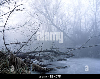 En remontant le fleuve gelé en hiver Banque D'Images