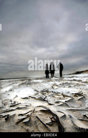 Trois jeunes femme marche sur une plage de sable, Pays-Bas, Zeeland, Breskens, Sluis Banque D'Images