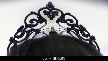 La couronne de l'Intercontinental de 'Miss' 2014 Concours de beauté est à l'affiche au lieu d'exposition à Magdeburg, Allemagne, 4 décembre 2014. 69 participants du monde entier sont en compétition dans le troisième plus grand concours de beauté pour le titre de 'Miss 2014 Intercontinental". Photo : Jens Wolf/dpa Banque D'Images