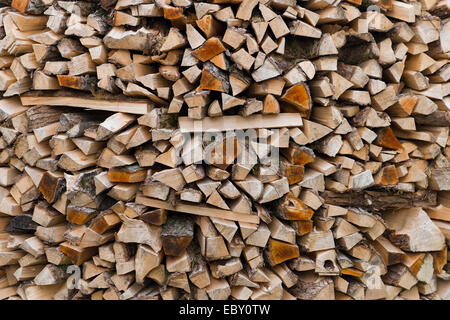 Bois de chauffage, grumes empilées, Hedeby Viking Museum, Busdorf, Schleswig-Holstein, Allemagne Banque D'Images