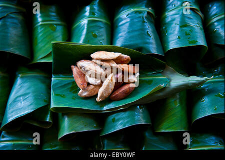 Les noix du Brésil (Bertholletia excelsa) pour la vente, Honiara, Îles Salomon Banque D'Images