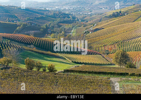 L'Italie, panorama de vignobles du Piémont : Langhe-Roero et Monferrato sur la Liste du patrimoine mondial UNESCO Banque D'Images