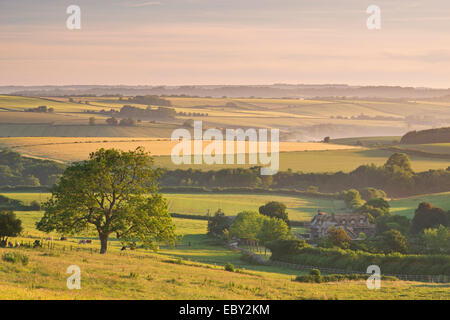 Campagne vallonnée et chaumière près de Frome, Somerset, Angleterre. En été (juin) 2014. Banque D'Images