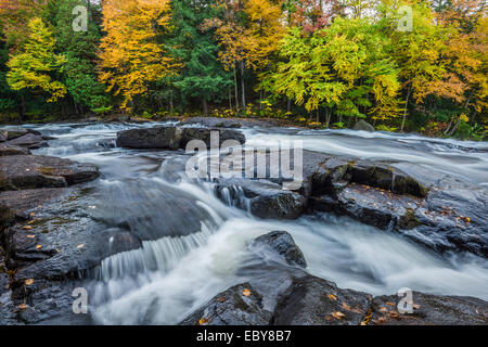 Buttermilk Falls sur la rivière Raquette près de Long Lake, Hamilton Co., NY Banque D'Images