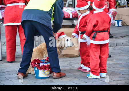 Gibraltar. 5 Décembre, 2014. Gibraltar aujourd'hui vu une longue ligne de Santas se rassemblent à Casemates avant de partir à la rue principale dans une danse Conga. Les clients du soir ont été traités à la danse comme ils Santa conga dirigée à la place avant de se retourner à nouveau de casemates. L'événement faisait partie d'un organisme de bienfaisance exécuter organisé par le Rotary Club, et aidé par la bande de Calpe. Crédit : Stephen Ignacio/Alamy Live News Banque D'Images