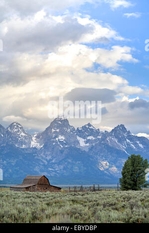 USA, Wyoming, Grand Teton National Park, Morman rangée, date de 1890, John Moulton Homestead, Grange Banque D'Images