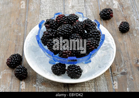 Rubus fruticosus, 'Lochness Landscapes" en verre bleu vintage bol sur soucoupe blanc Banque D'Images