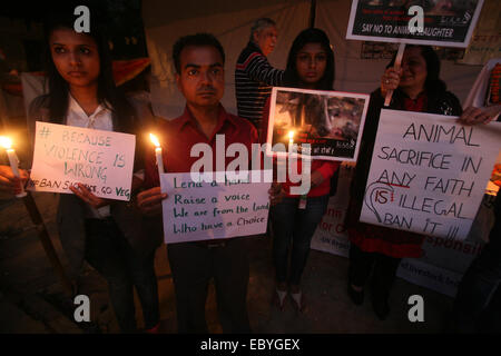 New Delhi, au Népal. 5 déc, 2014. Militants des droits de l'animal tenir candle light vigil pour pleurer la mort de l'animal des milliers de sacrifiés à Gadhimai festival dans le Népal, à New Delhi. Credit : Anil Kumar Shakya/Pacific Press/Alamy Live News Banque D'Images