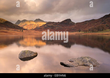 Tôt le matin soleil sur les Langdale Pikes, reflétée dans Blea Tarn, Lake District, Cumbria, Angleterre. L'automne (novembre) 2014. Banque D'Images