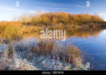 Barton-upon-Humber, Nord du Lincolnshire, au Royaume-Uni. 06 Dec, 2014. Un matin glacial et froid au bord des eaux Country Park dans le Nord du Lincolnshire. Barton-upon-Humber, Nord du Lincolnshire, au Royaume-Uni. 6 décembre 2014. Credit : LEE BEEL/Alamy Live News Banque D'Images