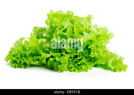 Bouquet de laitue verte isolated on white Banque D'Images