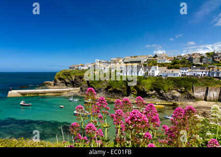 Cove et du port de Port Isaac, Cornwall, Angleterre Banque D'Images