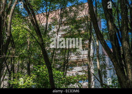Bloc d'appartements sur Heroes of Stalingrad Street dans la ville abandonnée Pripyat, zone d'exclusion de Tchernobyl, l'Ukraine Banque D'Images