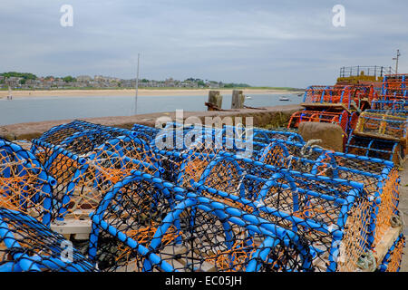 Les nouveaux casiers à homard (nasse) au port de pêche de North Berwick, East Lothian, en Ecosse. Banque D'Images