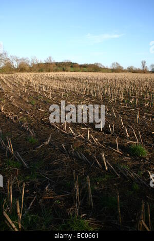 Eysey Hill avec un champ de l'agriculteur dans l'avant-plan Banque D'Images