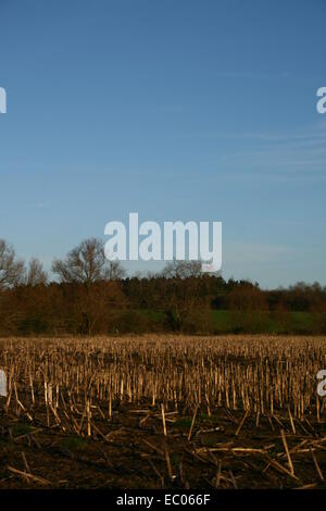 Eysey Hill avec un champ de l'agriculteur dans l'avant-plan Banque D'Images