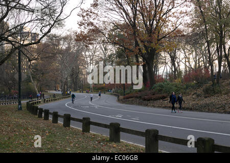 Les gens qui marchent sur une route dans le Central Park, New York City Banque D'Images