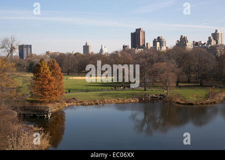 Turtle pond dans Central Park à New York. Banque D'Images