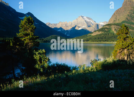 Swiftcurrent Lake est entourée d'arbres et de Mt. Gould reflète. Le Glacier National Park, Montana Banque D'Images